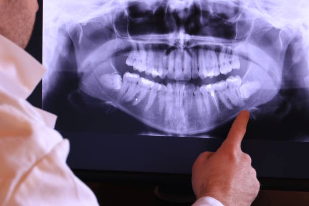 Best Emergency X-Rays and Diagnostics in New Deal, TX